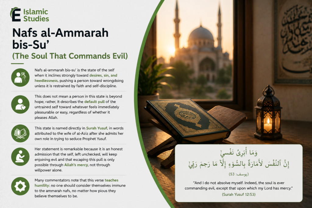 What Is Nafs in Islam? Meaning, Types, and Spiritual Significance 2 Nafs al-Ammarah bis-Su’ (The Soul That Commands Evil)