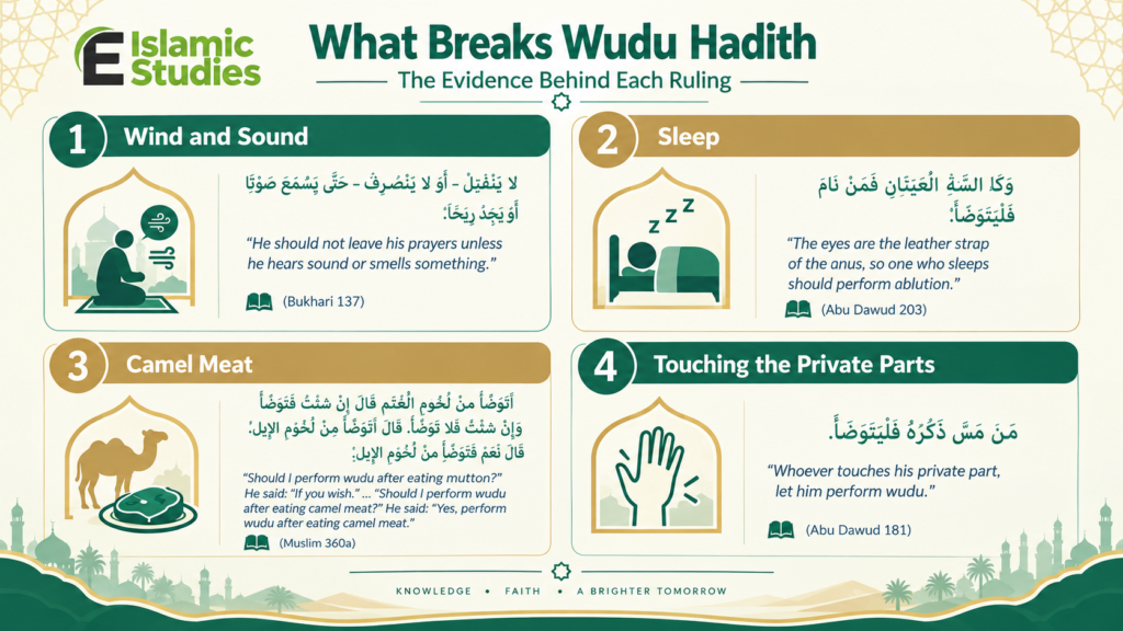 What Breaks Wudu Hadith Evidence